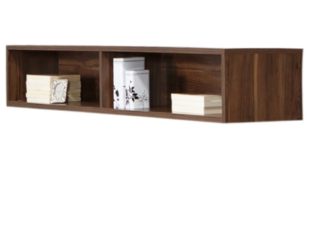 modern duvar üniteleri.jpg