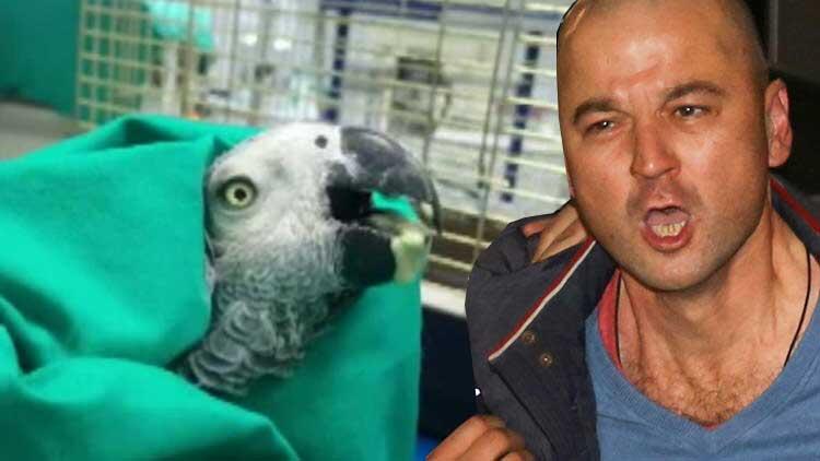 murat özdemirin papağanı öldümü.jpg