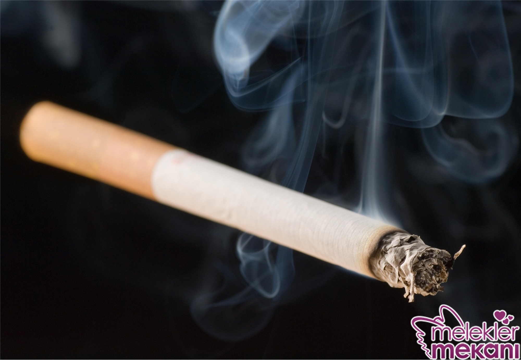 nikotin aşısı.jpg