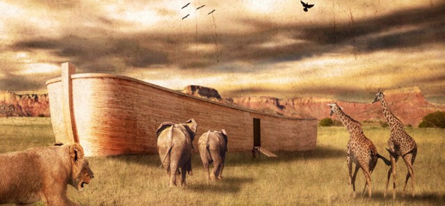 nuhun gemisi nerede.jpg