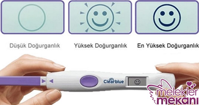 ovulasyon testi nasıl yapilir.jpg