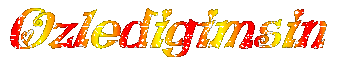ozledigimsin28ls.gif