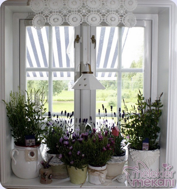 pencere önü çiçek dekorasyonu.jpg