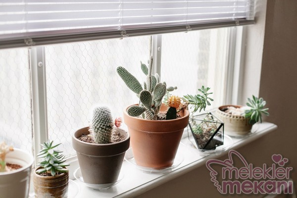 pencere önü dekorasyon fikirleri.jpg
