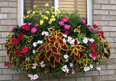 pencere-saksilari.jpg