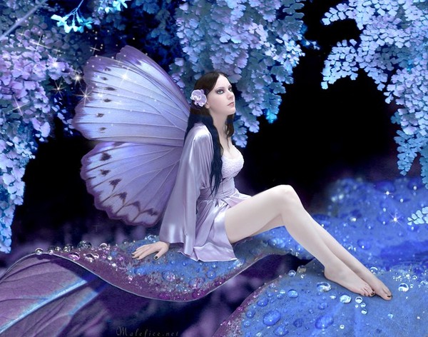 peri resimleri 5.jpg