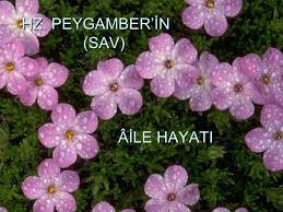 Peygamber efendimizin aile hayatı.jpg