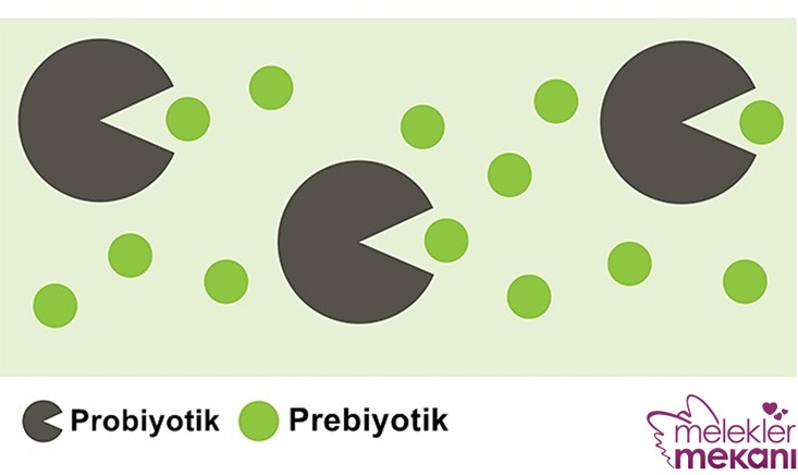 prebiyotik.jpg