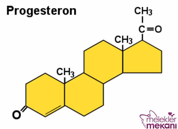Progesteron.gif