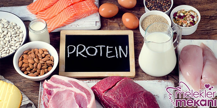 protein nedir.jpg