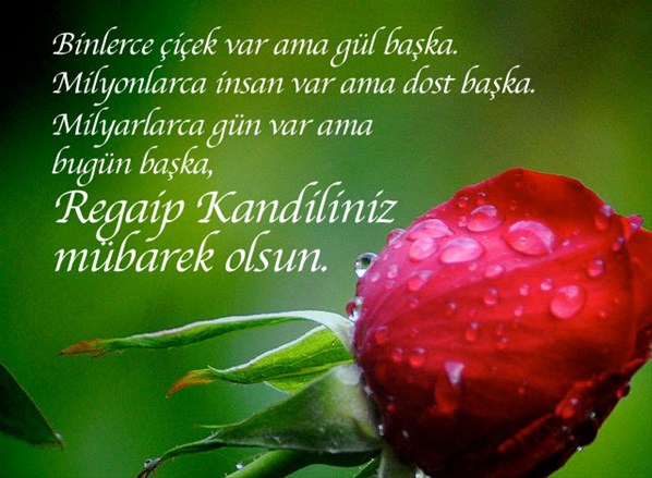 regaip kandili 5.Jpeg