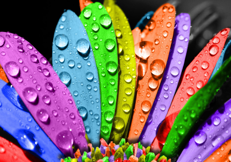 renklerin anlamı.jpg