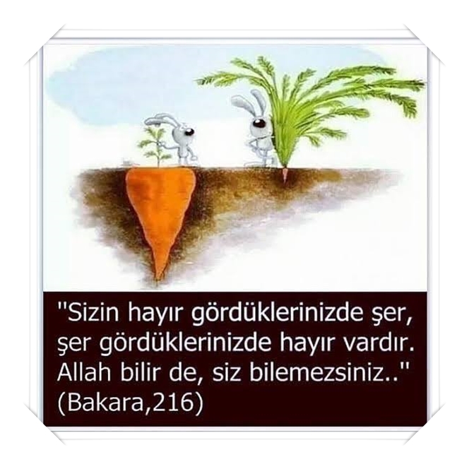 resimli bakara suresi ayetleri (10).jpg