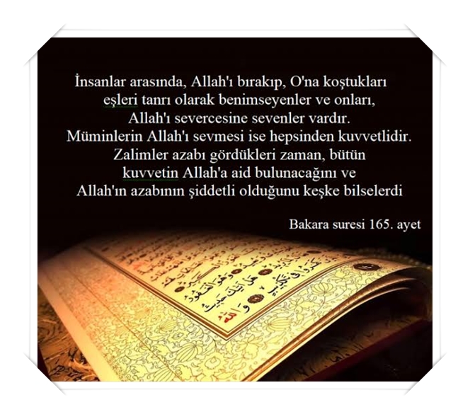 resimli bakara suresi ayetleri (12).jpg