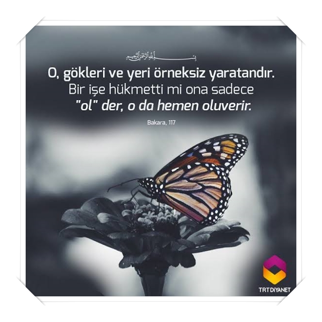 resimli bakara suresi ayetleri (8).jpg