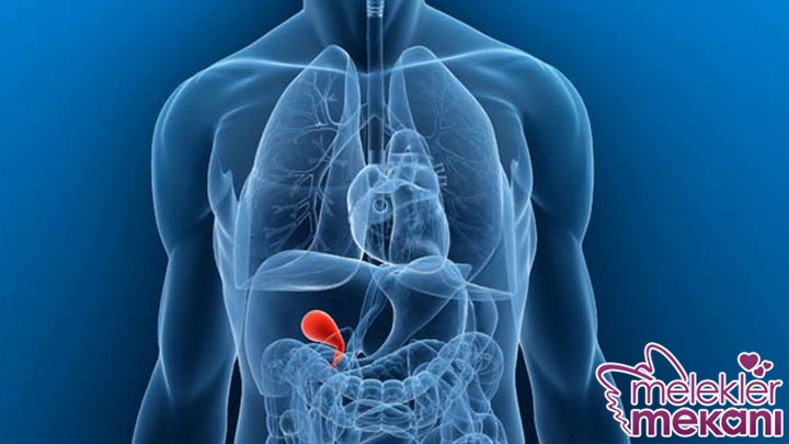 safra kesesinde taş.jpg