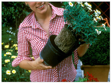 saksi degistirme.jpg