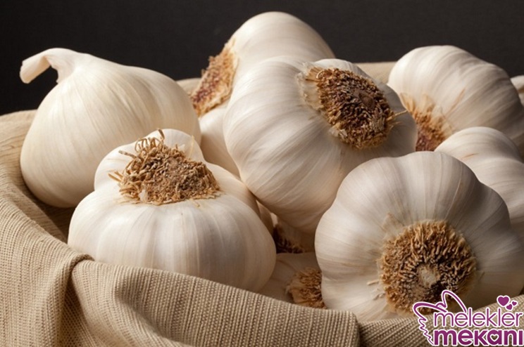 sarımsağın faydası.jpg