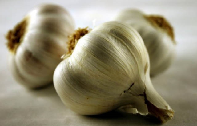 sarımsak.jpg