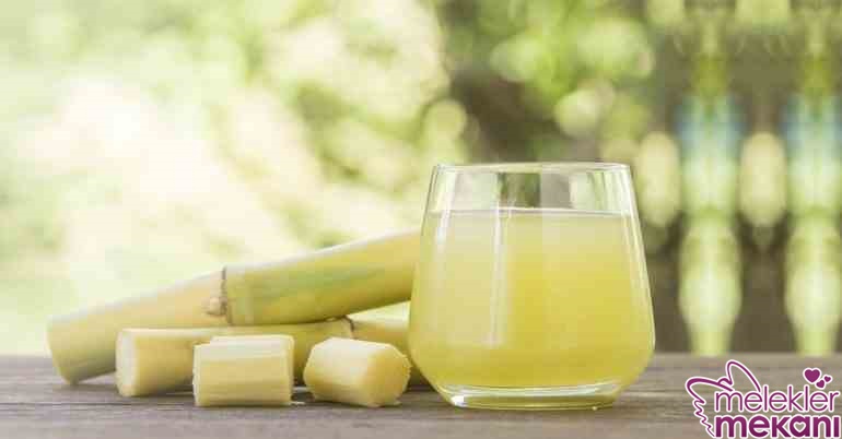 şeker kamışı.jpg