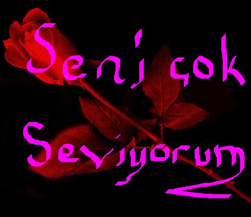 seni seviyorum (14).jpg