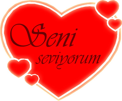 seni seviyorum (16).jpg