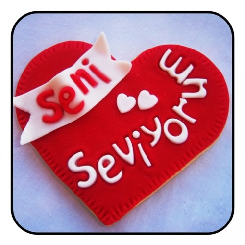 seni seviyorum (3).jpg