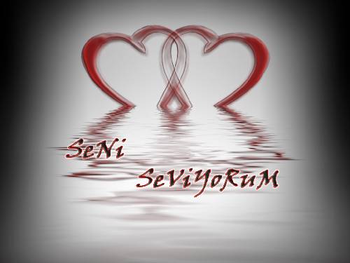 seni seviyorum (5).jpg