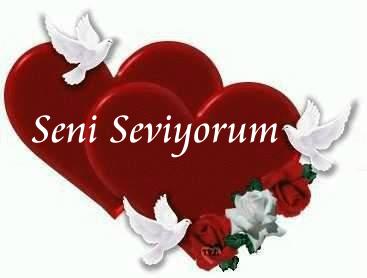 seni seviyorum (7).jpg