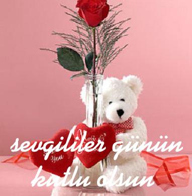 sevgililer gunu (1).png