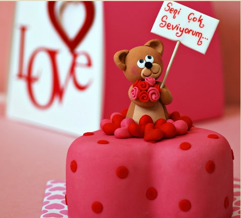sevgililer gunu (5).jpg