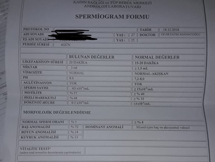 sperm anormalisi test değerlendirme.jpeg