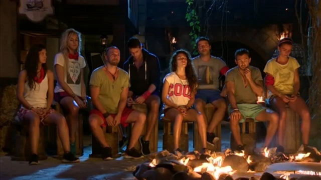 survivor4.jpg