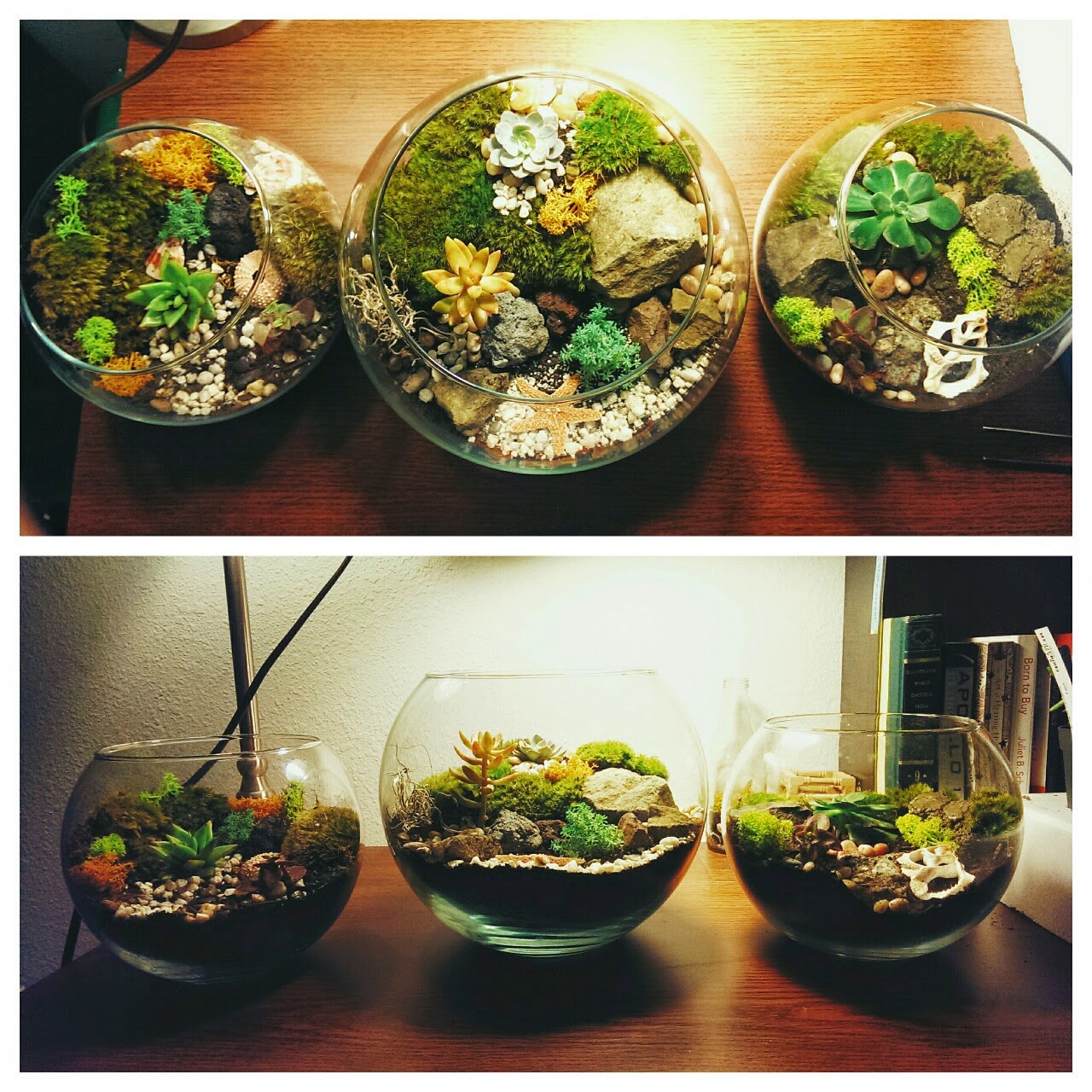 teraryum-resimleri.jpg