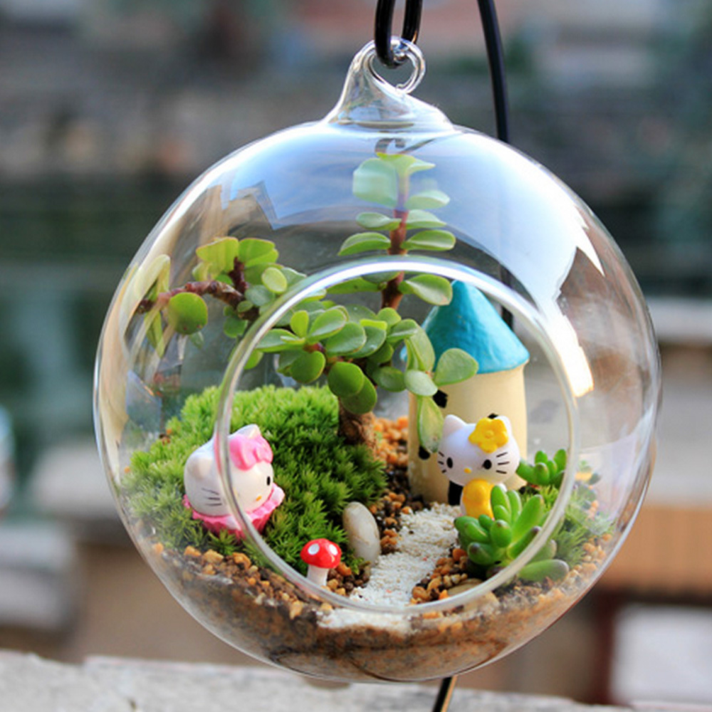 terrarium-5.jpg
