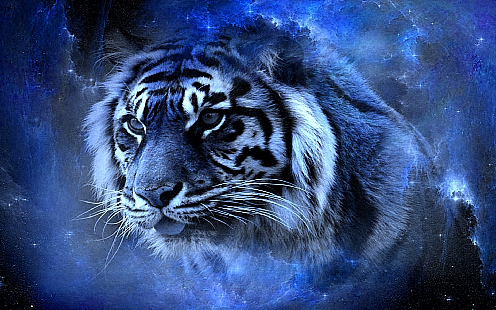 tiger-wallpaper-58.jpg