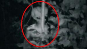 uzaylılar var mı.jpg