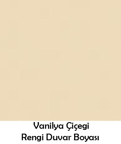 vanilya-cicegi-duvar-rengi-boyasi.jpg