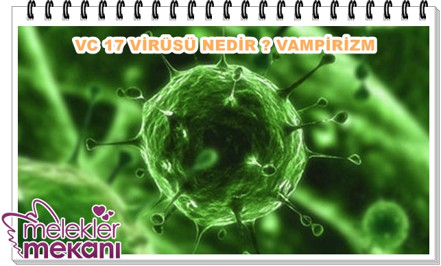 VC 17 vir_s_ vampirizm nedir.jpg