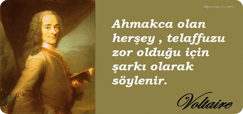 Voltaire-Sözleri-Ahmakca-olan-herşey-telaffuzu-zor-olduğu-için-şarkı-olarak-söylenir..jpg