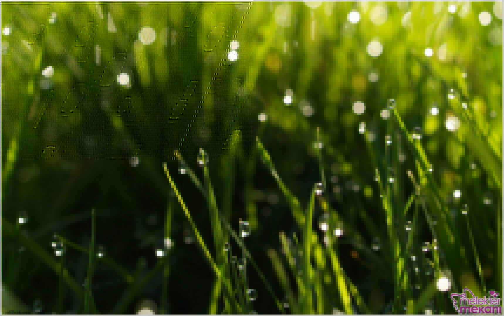 yağmur resimleri (7).jpg