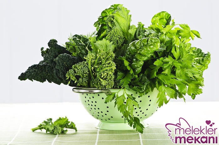 yeşillikler nasıl saklanır.jpg
