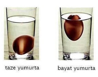 yumurta.jpg