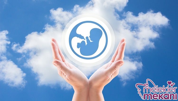 yumurta kalitesi nasıl artar.jpg