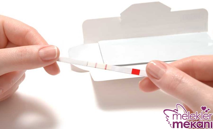 yumurtlama dönemi belirtileri.jpg