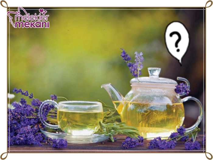 yuzdeki yag bezelerine lavanta kuru.jpg