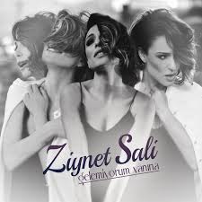 ziynet-sali.jpg