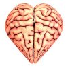 love_brain-38e.jpg