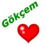 gokce15