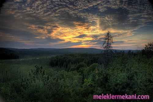 1064376536_dd44b37c8f-9196.jpg